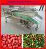 automatic fruits selecting grading machine