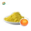 Young organic top quality bulk pure dehydrated pumpkin powder