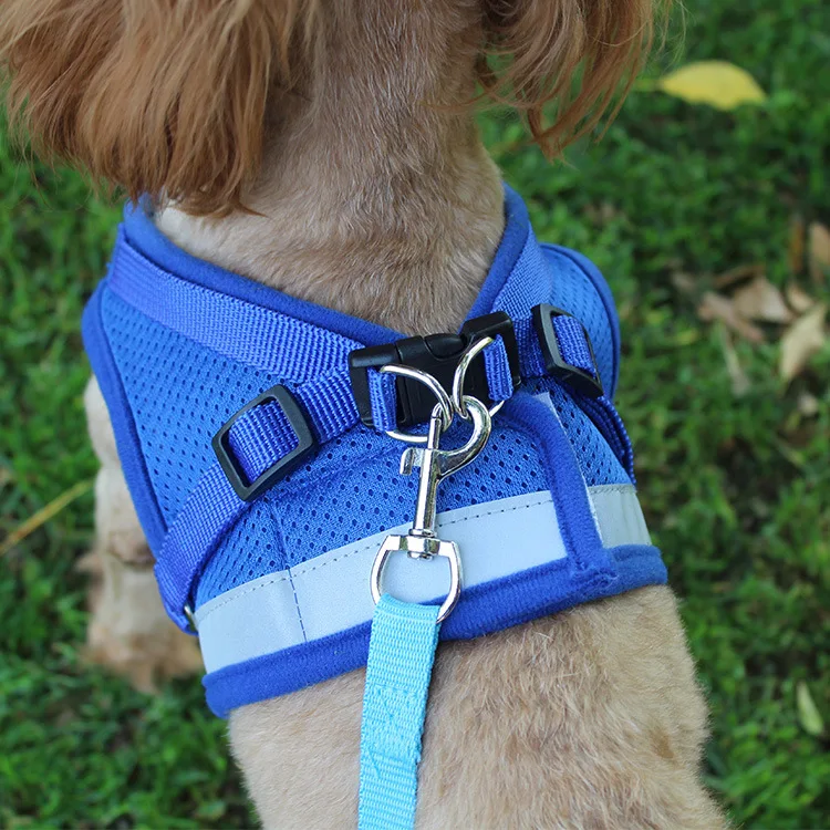 Custom Mesh Pet Dog Harness Leash Set Buy Pet Dog Harness,Dog Harness