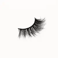 

Free sample Hand made high quality 100% real human hair eyelashes 3D lashes