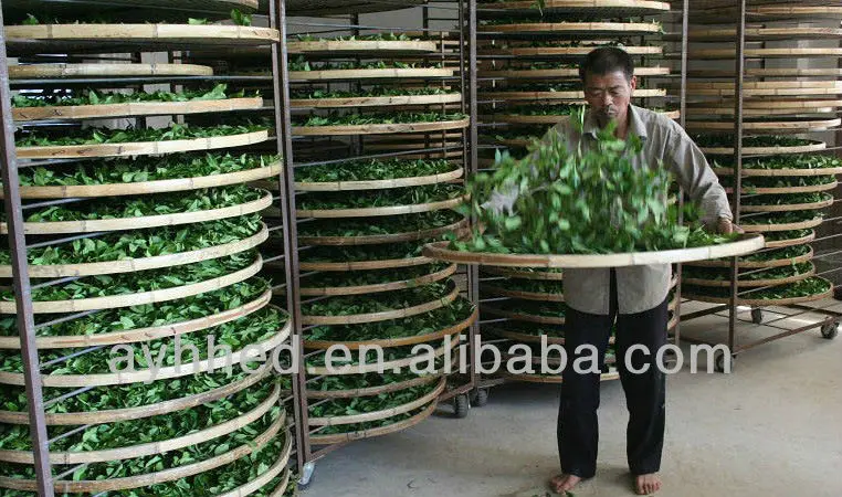 Wholesale Chinese Weight Lose Black Oolong Tea - 4uTea | 4uTea.com