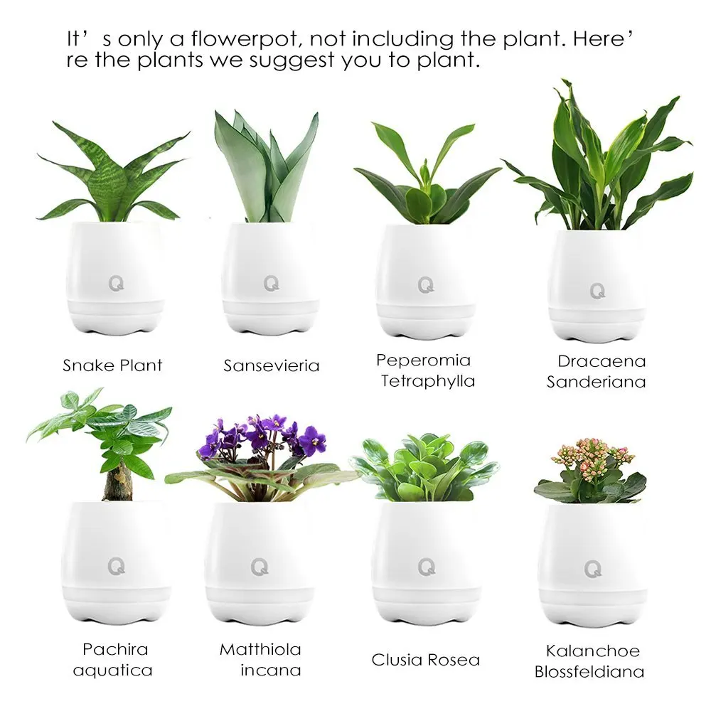 2017 Smart Music Flowerpot With Patent Protection Smart Touch Plant