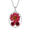 Custom Fashion Simple Colorful Resin Glass Oval Pendant Long Chain Epoxy Dried Flower Necklace