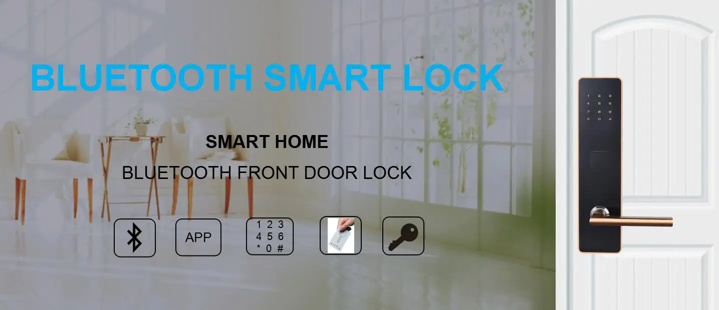 wifi bluetooth lock.jpg