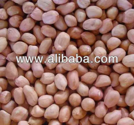 
Peanuts, Indian Java Peanuts 