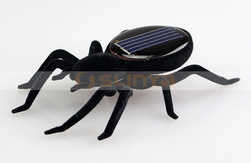 Solar spiders 8032 150108 (10).jpg