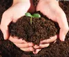 SAP hydrogel for agriculture use / Solid rain / Super absorbent polymer