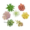 /product-detail/assorted-decorative-artificial-succulent-plant-arrangements-62176903817.html