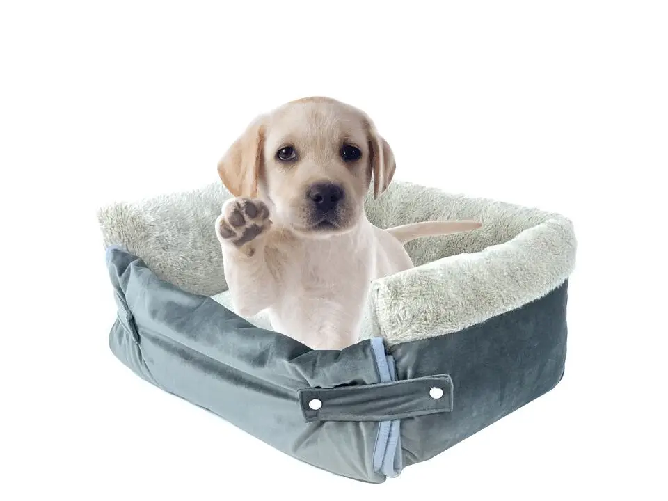 High Quality Travel Dog Bed With Waterproof And Nonslip Fabric At The