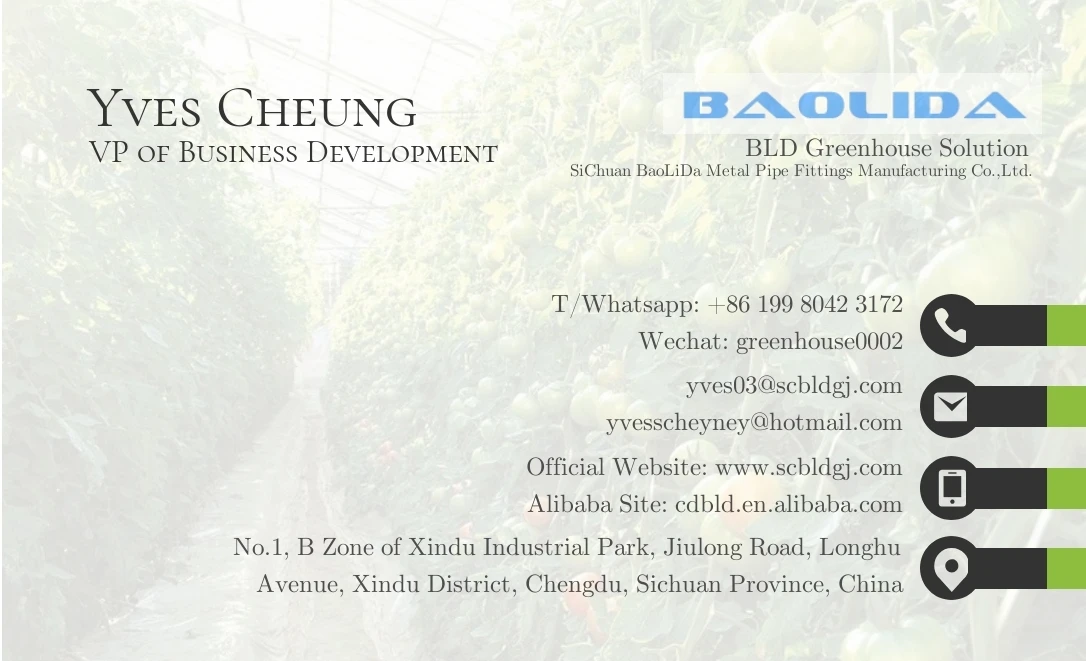 Name card Yves Cheung.jpg