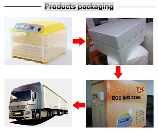 Eggs Chickenduck Incubator Controller, HHD, Xm-18 - detail 24