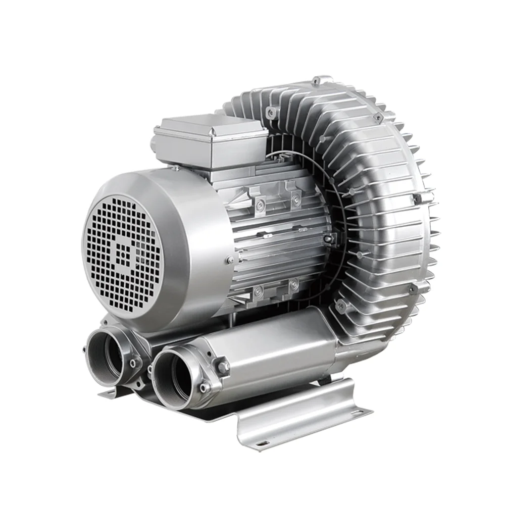 220v vortex air pump