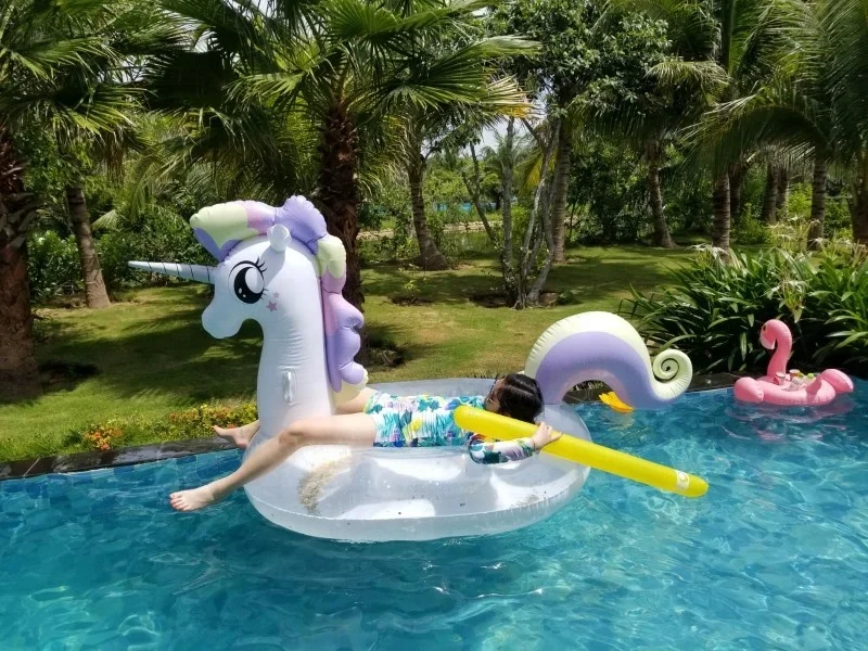 horse inflatable pool