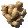 Dry Ginger Root