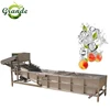 Spinach/Mushroom/Tomato/Yam Vegetable And Fruit Washer/Food Equipment