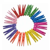 

Colorful Natural Wood Craft Spring Clothespins 24 Piece 8 Colors Clothes Pegs