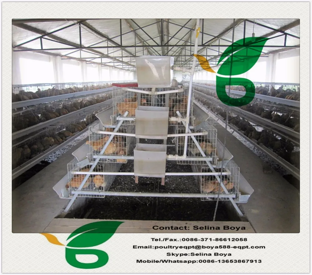 Wholesale Thickened Uganda Poultry Farm Automatic Chicken Layer