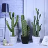 New photography photo props simulation cactus plant fairy ball potted small fresh decorative green plant ornaments