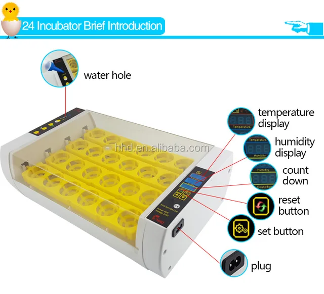 Hhd Newest Automatic Mini Chicken Egg Incubator Holding 24 Eggs Yz 24a Buy Mini Egg Incubator Chicken Egg Incubator 20 Eggs Incubator Product On Alibaba Com