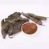 Hot sales plant extract Celastrus angulatus extract/Celangulin 6%/Enhance immunity Free sample