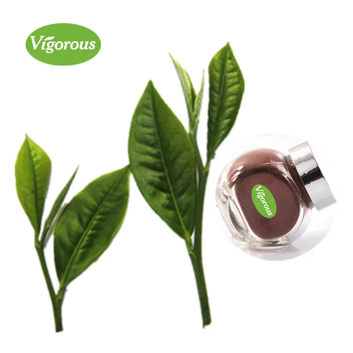 puer tea extract 1