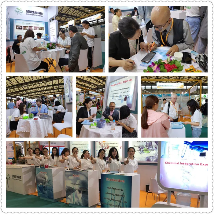 exhibition