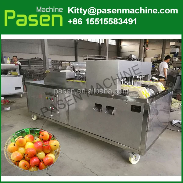 date core removing machine.jpg