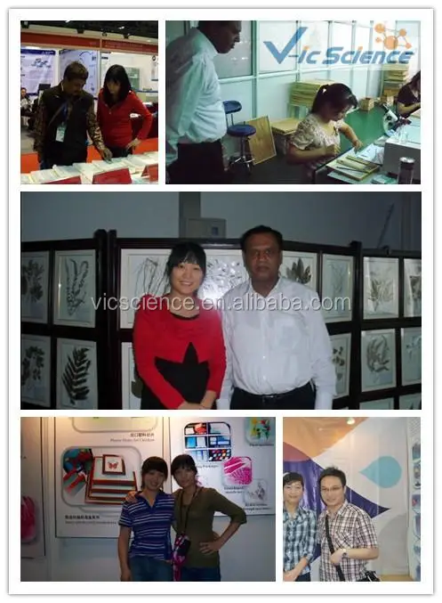 prepared slides(Attend exhibition in foreign and domestic).jpg