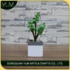 High quality export faux succulents plant and tree bonsai
