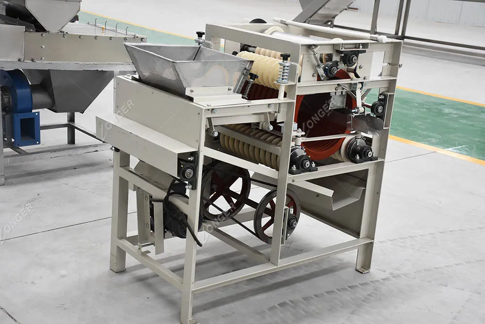 lg-qs11 小湿杏仁去皮机花生去皮机