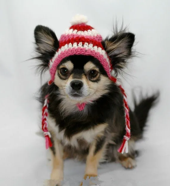 Как связать шапку для собаки спицами - Master ClassFor animals - Knitting with knitting needles