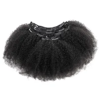 

New products 2019 afro kinky curly clip in hair extension for black women