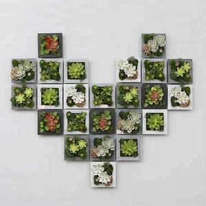 Home Decoration Modern, Cheap Artificial Plants, Home Decoration Colorful