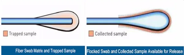 Disposable Portable Testing Urinalysis Strip Swab