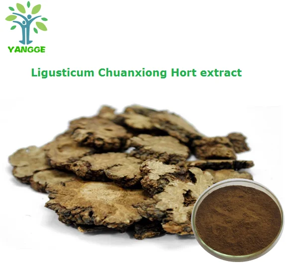 Factory Supply Ligusticum Wallichii Ligusticum Chuanxiong Hort Extract