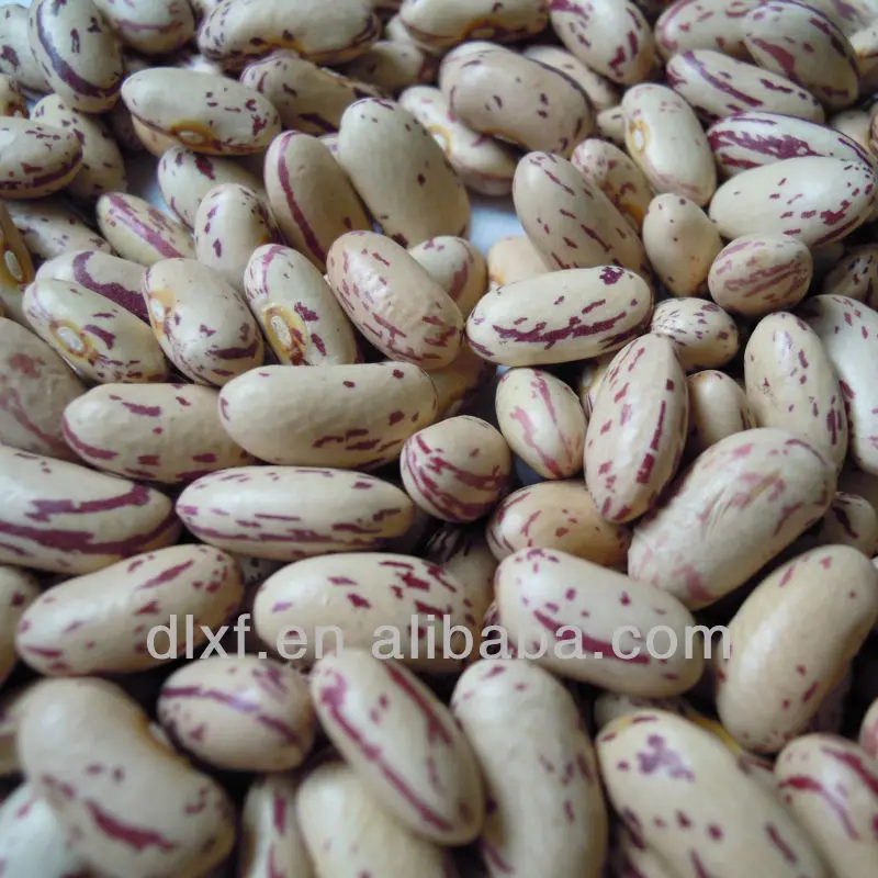 2010crop  lskb long shape 009.jpg