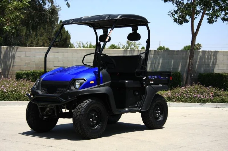 Chinese Cheap Side By Side Utv Dune Buggy Buy Dune Buggy 4x4,Adult Dune Buggies,200cc Utv