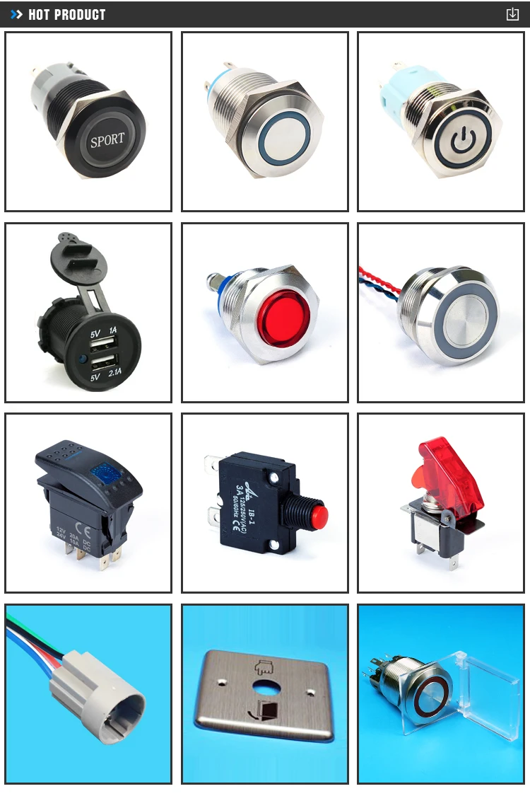 4-anti-vandal switch.jpg