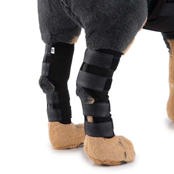 

Wholesale High Quality Simple Surgical Injury Guard For Dogs, Pictures