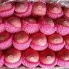 china apple varieties thin skin fuji apple red delicious apple fruit fresh