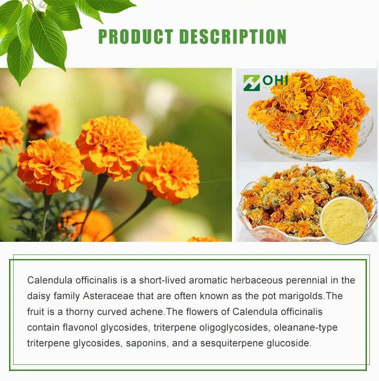 Fresh Cut Marigold Flowers Calendula Lutein Powder Extract Natural Lutein Zeaxanthin Buy Fresh Cut Marigold Flowers Calendula Lutein Powder Extract Natural Lutein Zeaxanthin Product On Alibaba Com