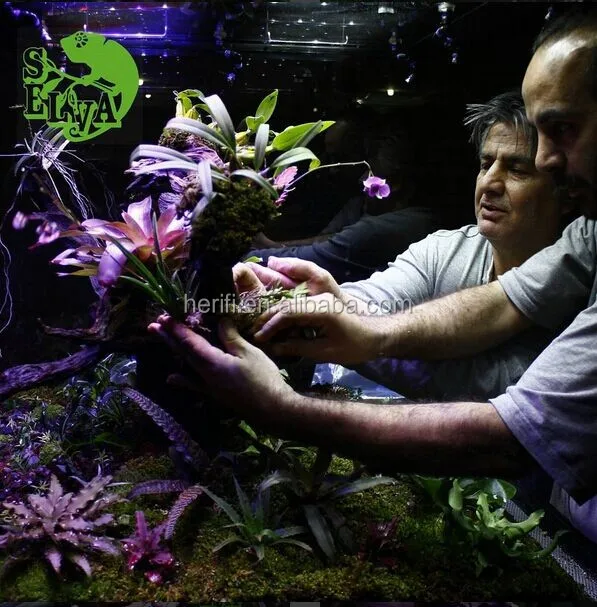 LED Aquarium Light.jpg