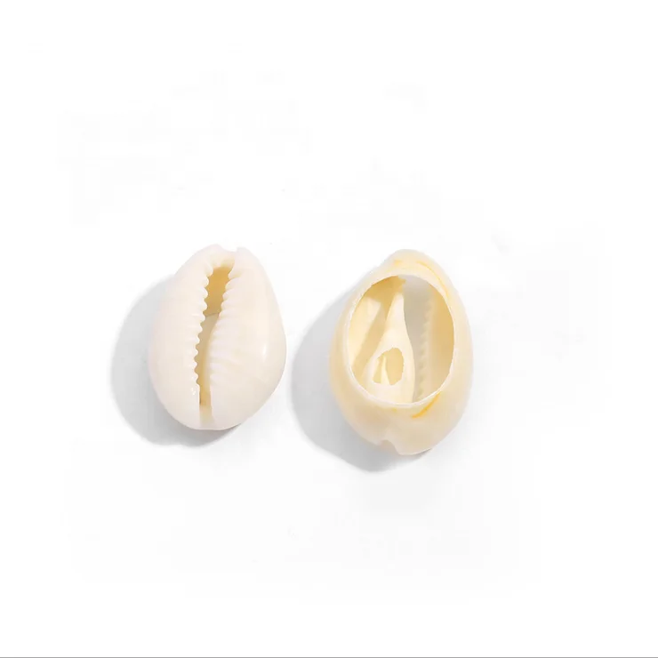 

1.7-2cm Small Bulk Cut Beach Sea Natural Shell Conch Beads Cowry Cowrie Tribal Jewelry Craft Accessories holes DIY, Milky