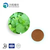 factory supply Herba Menthae Heplocalycis extract,Mint extract, BO HE extract