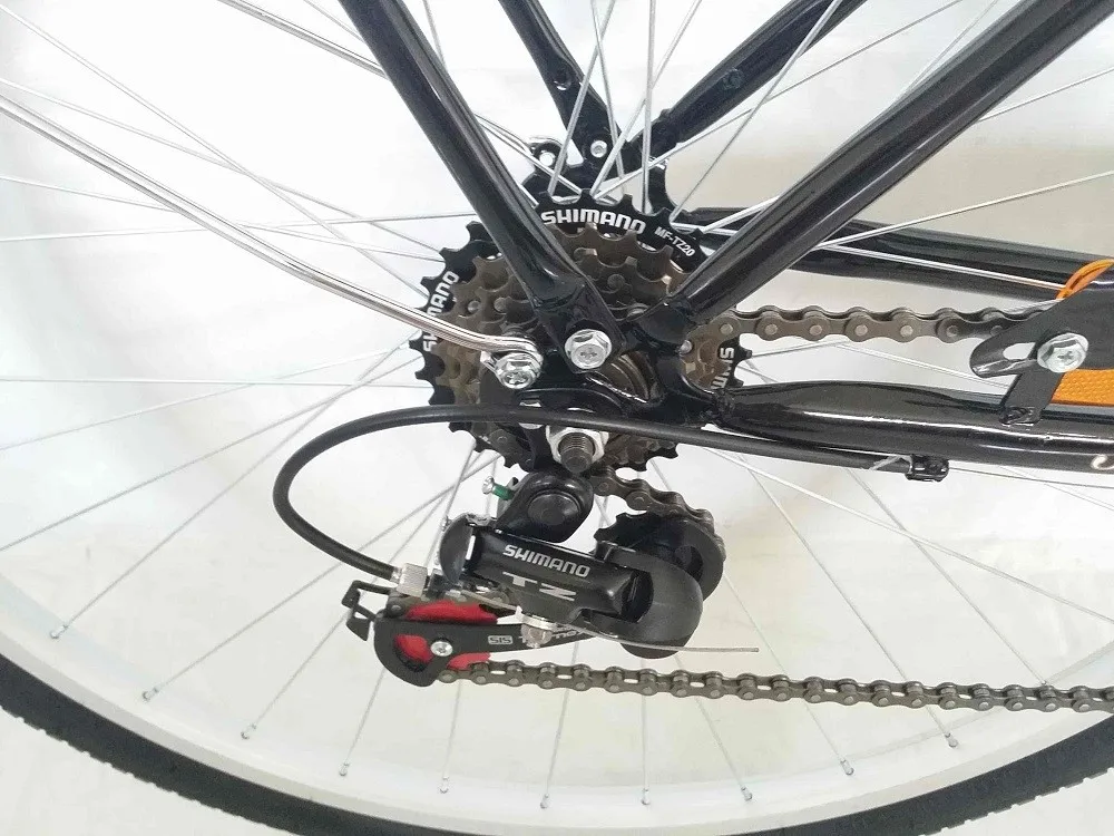 Europe Model Black Lady Bike HL-C021