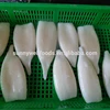 Frozen squid tube fish U5