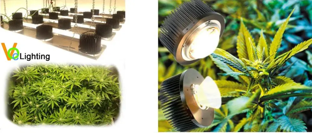 Sunflower Aluminum Passive Heat Sink for Led COB VERO29 CXB3590 CLU048