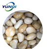 Chinese Pebble Stone River for landscape White Pebble Stone