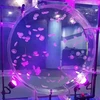 Acrylic Tanks Used for Seafood, Fish and Aquarium