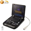 Working station database 4D doppler color ultrasonido equipo